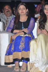 Dikkulu Choodaku Ramayya Movie Audio Launch